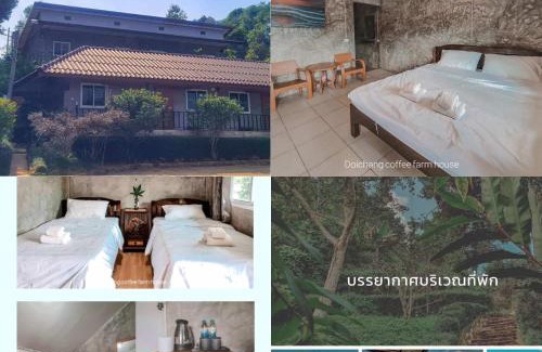 Chiang Rai Province House | DC Farm House