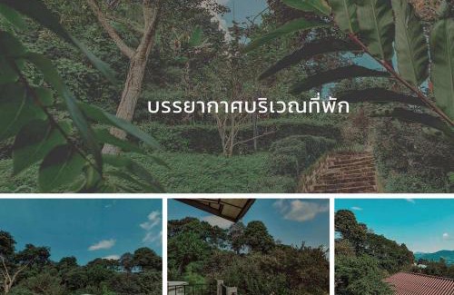 Chiang Rai Province House | DC Farm House