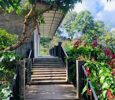 Chiang Rai Province House | DC Farm House