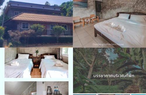 Chiang Rai Province House | DC Farm House