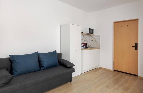 Cluj-Napoca Apartment | DD Boutique Apartments - Studio with Sofa Bed
