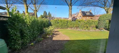 Abshoven Bed & Breakfast | De beukenboom Bed and Breakfast