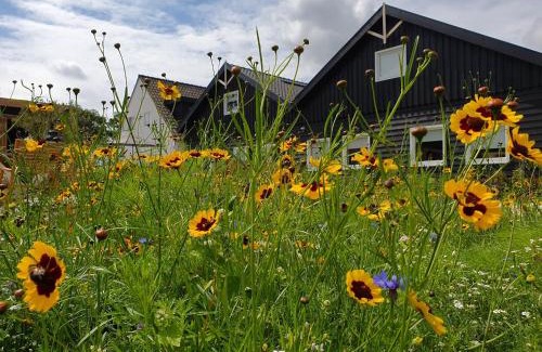 Oostkapelle House | De Bonte beleving