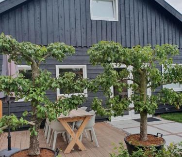 Oostkapelle House | De Bonte beleving