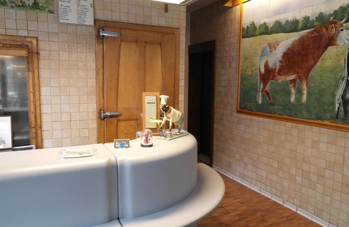 Krottegem Hotel | De Bonte Os Hotel & Tower