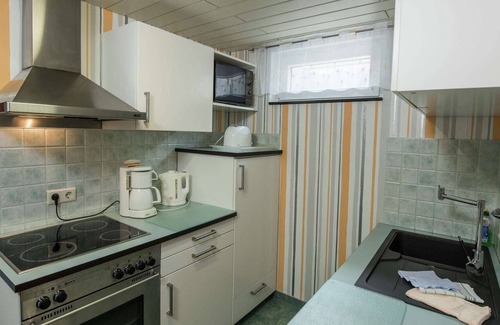 Friedrichroda House | Charming Apartment in Finsterbergen Thuringia with Garden