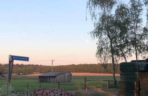 Lunteren Bed & Breakfast | De Gouden Wilg