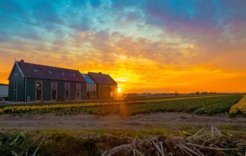 Arnoud Bed & Breakfast | De Groene Bollenschuur