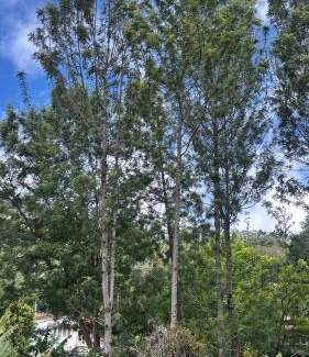 Kodaikanal Apartment | De Huts Penthouse