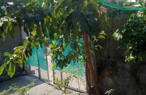 Salam House | De Ikut Bojo Homestay