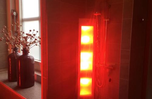 Lievelde House | De Lindenburg met privé hottub, sunshower, sauna, grote tuin met weidezicht en vrije ligging, 6-persoons