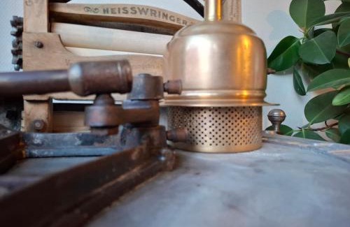 Wijgmaal House | De Volkswasserij, woning met tuin