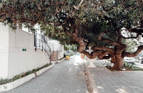 Cape Town City Centre Apartment | De Waterkant Apartments with Cape Finest