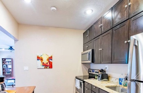 Hyde Park Apartment | Dead Poets Society- U of Tampa Flat in N Hyde Park