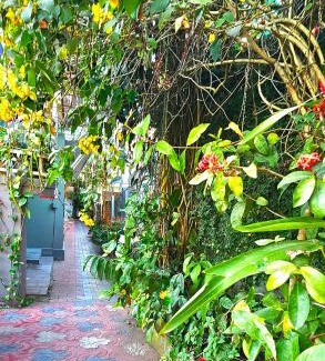 Pirmed Apartment | Dean Dale Cottages