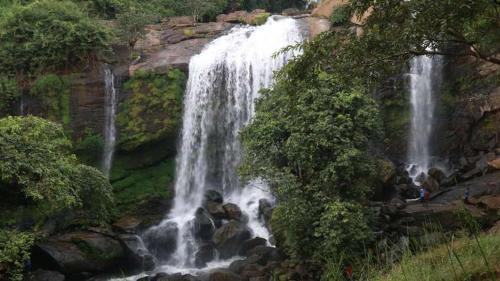 Todupulai House | December 30