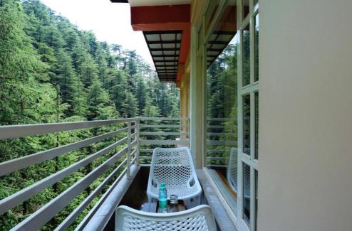 Shimla Apartment | Decent BnB Shimla ! Pine trees View