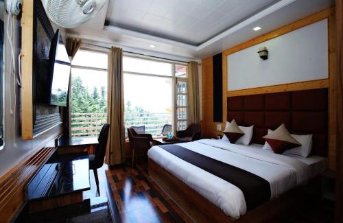 Shimla Apartment | Decent BnB Shimla ! Pine trees View
