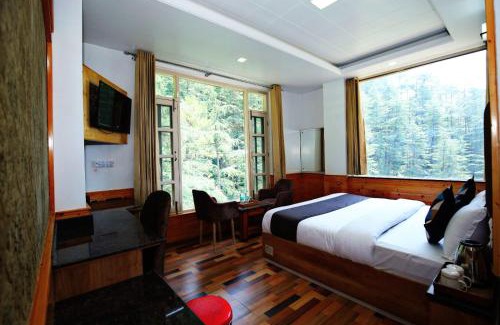 Shimla Apartment | Decent BnB Shimla ! Pine trees View