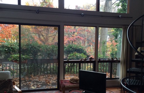 Brookmont Ski Chalet | Deckhouse: walk down to the C&O towpath, close-in to Washington DC!