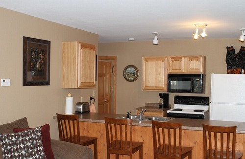 Athelstane Condo | Deer Path Inn - End Unit - 2 Br - 1 Bath - High Falls Flowage Waterfront