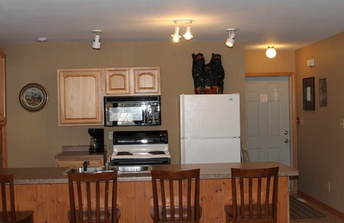 Athelstane Condo | Deer Path Inn - End Unit - 2 Br - 1 Bath - High Falls Flowage Waterfront
