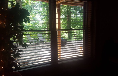 Marion County Cabin | Deer Run Cabin Suite