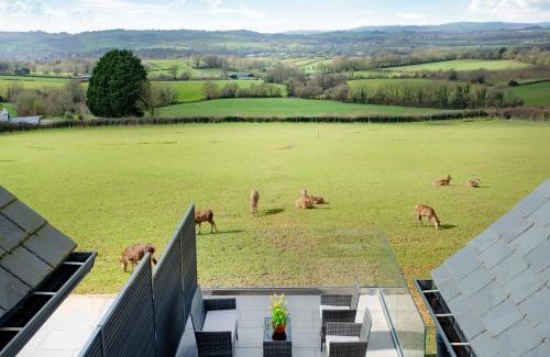 Ottery St Mary House | Deer View