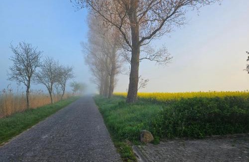 Horum Apartment | Deichblick