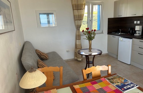 Syros Apartment | Delagratsia: Appartement in a house and big garden, breathtaking sea view
