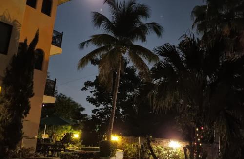 La Cruz de Huanacaxtle Other | Delfin bnb