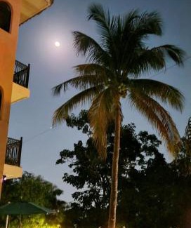 La Cruz de Huanacaxtle Other | Delfin bnb