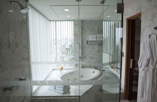 Sector 1 Hotel | Delfines Hotel & Convention Center