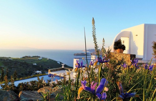 Delfini Villa | Delfini, Syros - A 'Paradise Location' (BBC World) Be in the company of Cats