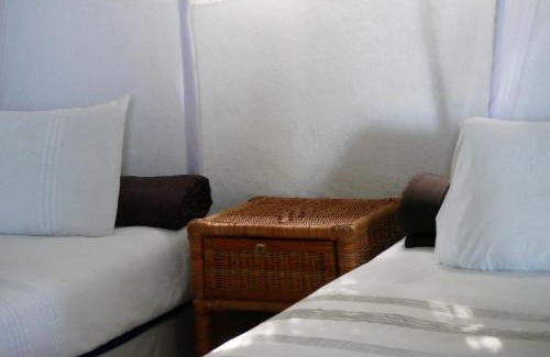 Port St Johns Cabin | Delicious Monster Accommodation