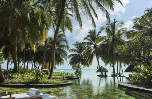 Reethi Rah Apartment | Delight in Premium Suites & Unique Lifestyle! Beach View w/Private Pool
