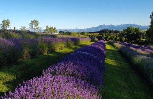 Cave Apartment | Delightful 1-bed barn with stunning mountain views.