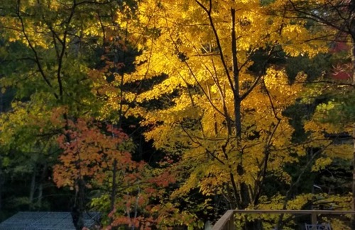 Selwyn Cottage | DELIGHTFUL 2 bedroom lake cottage on Stoney lake Booking for Fall colour's
