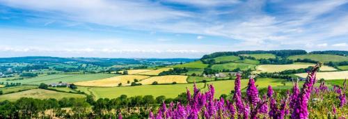 Bicton House | Delightful Devon Cottage