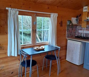 Clonroche Apartment | Delightful Studio Log Cabin , with Sauna