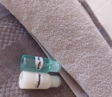 Flora Park House | DeLutz Overnight Accommodation Room 2