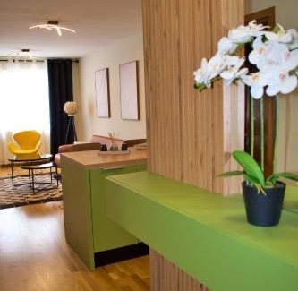 Ilidza Apartment | Delux Apartment - Tim Sarajevo