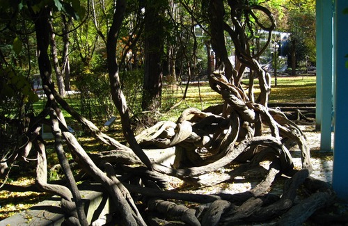 Likani House | delux appartament .