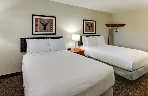 Peoria Hotel | Deluxe 2 Double in Stoney Creek Peoria! Free Hot Breakfast | 2 Units