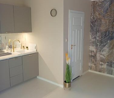 Ciechanow Apartment | Deluxe Apartament kuchnia z tarasem i parkingiem na wyłączność