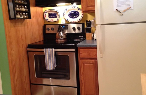Fleetwood House | Deluxe Bargain Priced 2/2 Mtn Home Near Blue Ridge Pky w/Outdoor Fireplace WIFI
