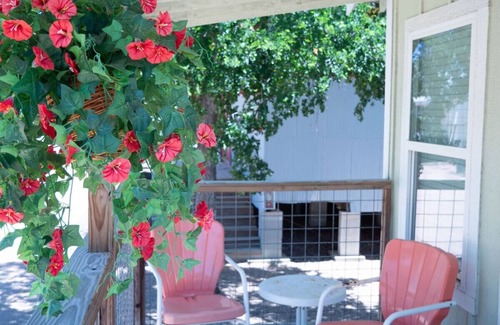Kerrville Cabin | Deluxe King Cabin #15 near Guadalupe River