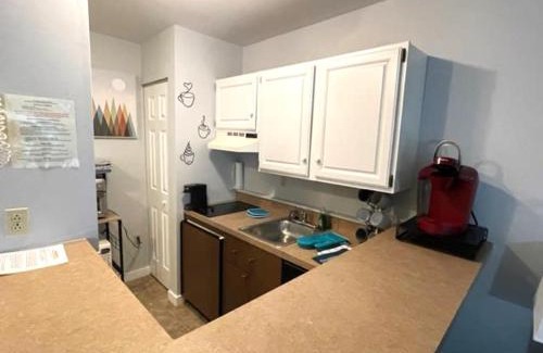 Hancock Apartment | Deluxe Mountain Fox Suite Jiminy Peak - Ski On Off - Fully Redone Decor