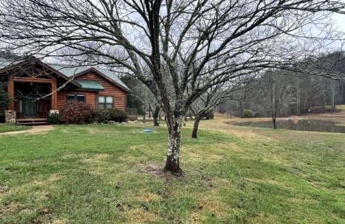Tellico Plains House | Deluxe Parkland Cabin - Pet and Motorcycle Friendly Home