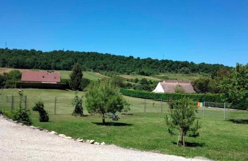Bouzeron Bed & Breakfast | Demeure des Lions